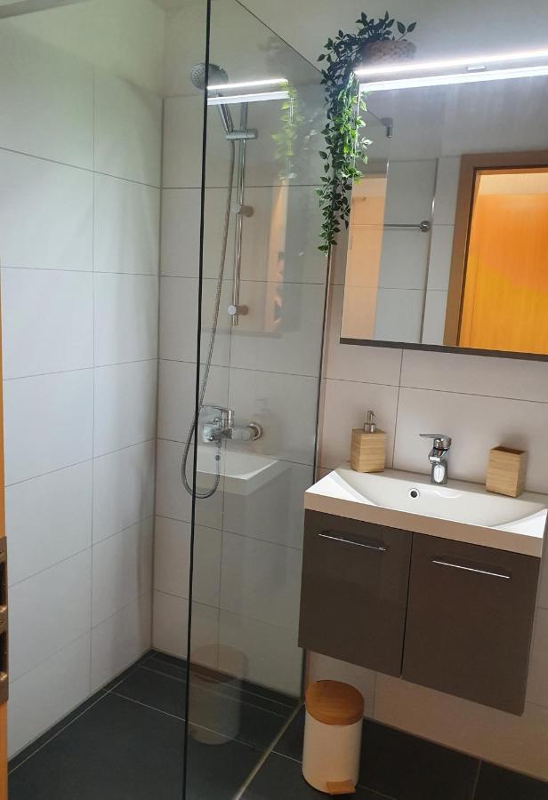 Modernisierte Ferienwohnung Naturseelen Mit Schwimmbad Und Sauna Braunlage Eksteriør billede