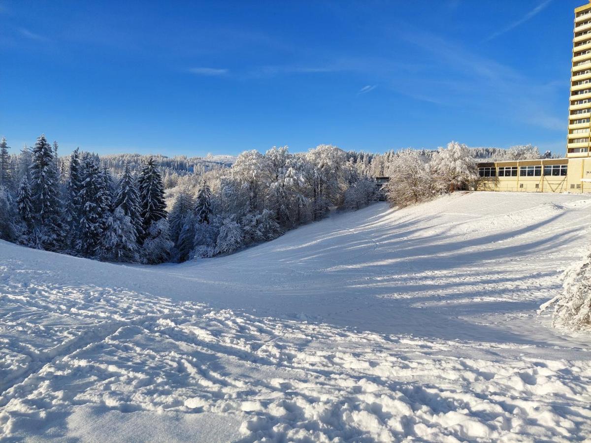 Modernisierte Ferienwohnung Naturseelen Mit Schwimmbad Und Sauna Braunlage Eksteriør billede